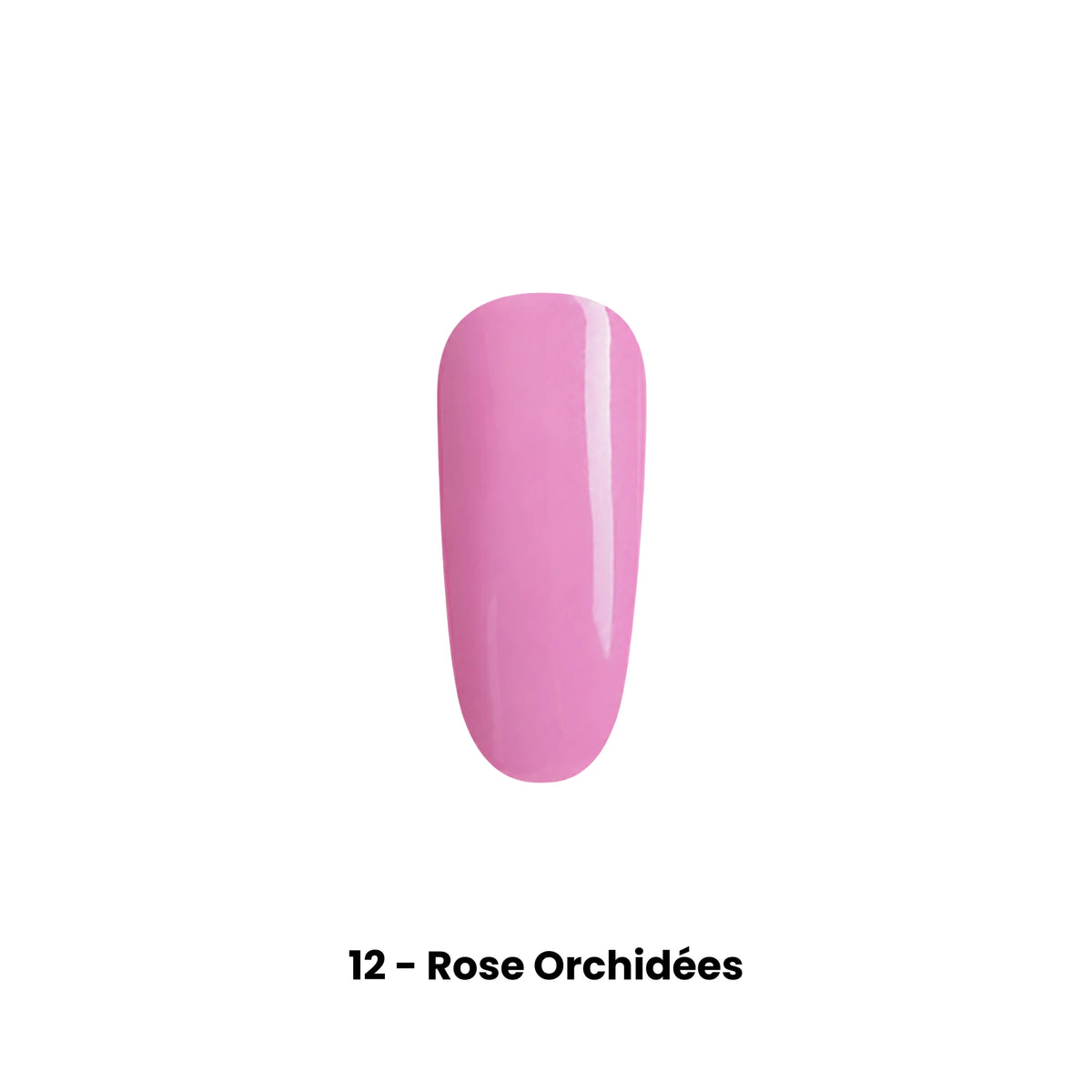 Stylos Vernis à Ongles — Sans Lampe UV  |  Noravio ™