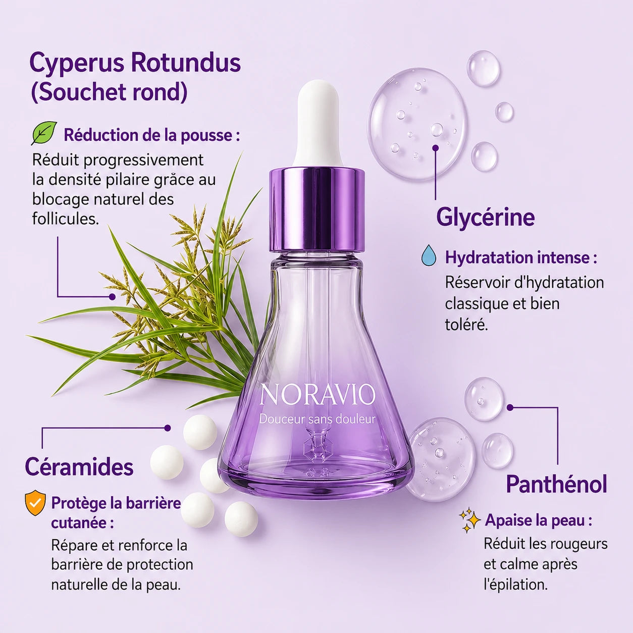 Sérum Anti-Repousse Végétal