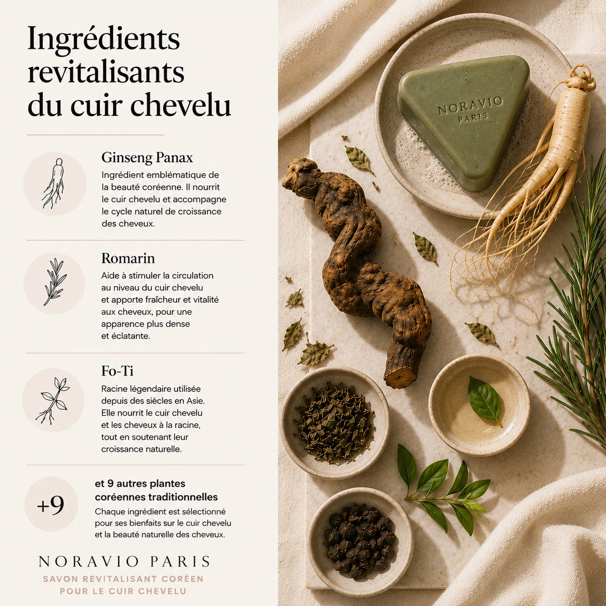 Savon Revitalisant Coréen pour le Cuir Chevelu | Noravio™